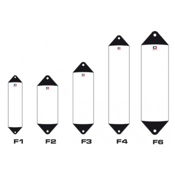 Fender with blue head and white body 